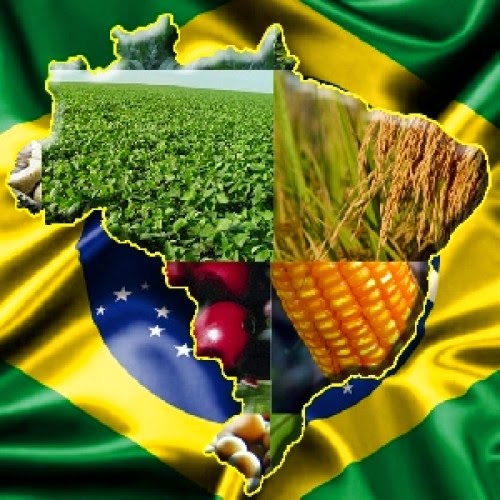 Imagem do artigo “Agro Global 3: Diferenciação e Imagem”
